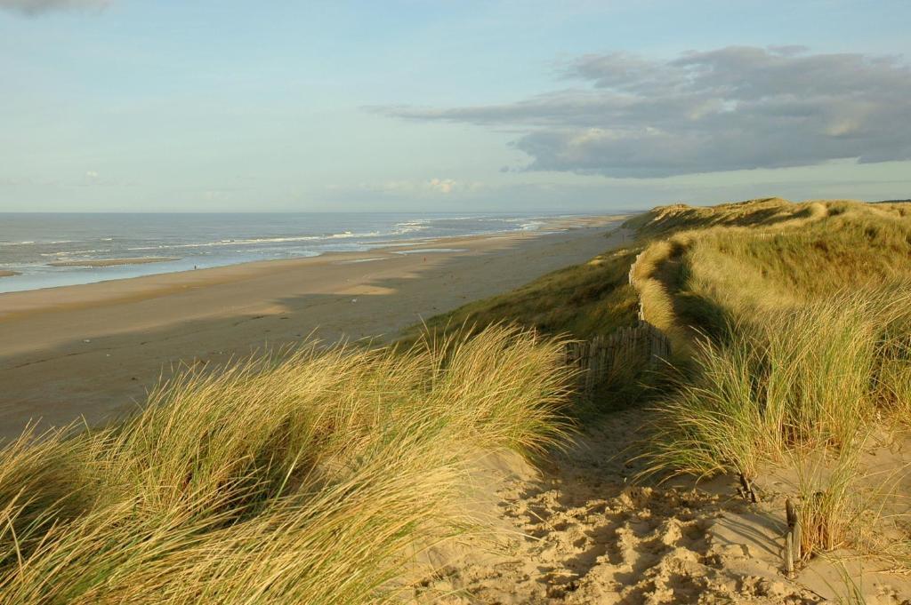 Hotel De Dennen Egmond aan Zee Exterior foto